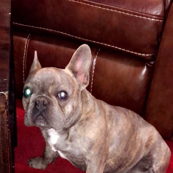 Meet your Posher, Alejandro - Picture 1 of 1